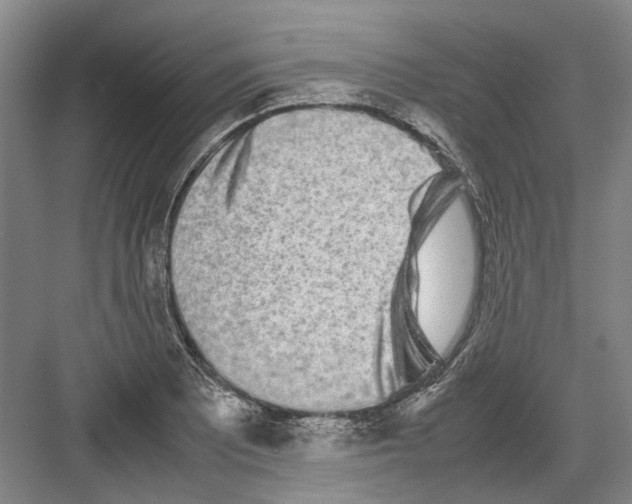 X0000082201081200702170012