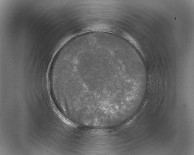 X0000082201082200702170012