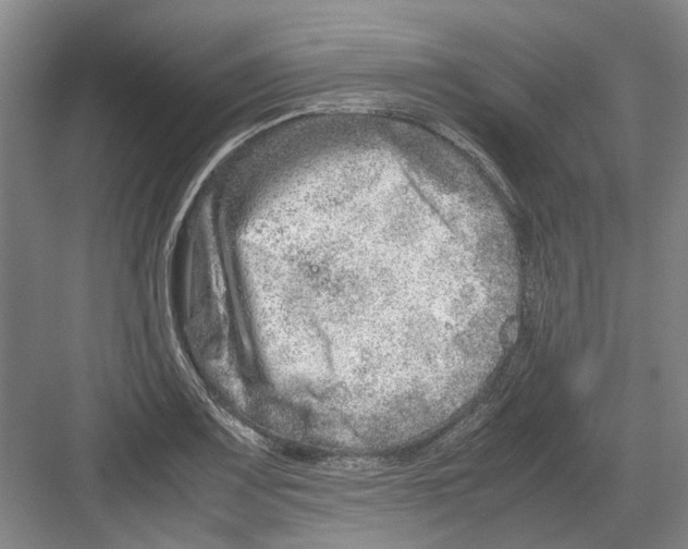 X0000082201083200702170012