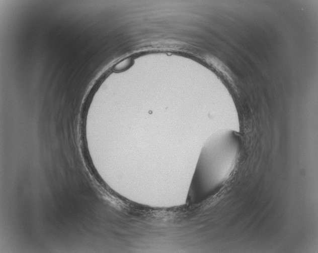 X0000082201085200702170012