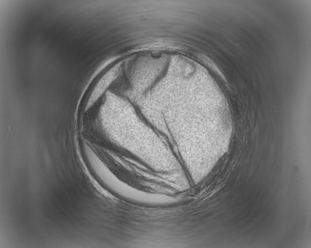 X0000082201087200702170012