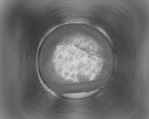 X0000082201088200702170012