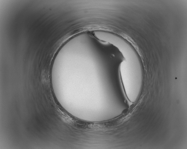 X0000082201089200702170012