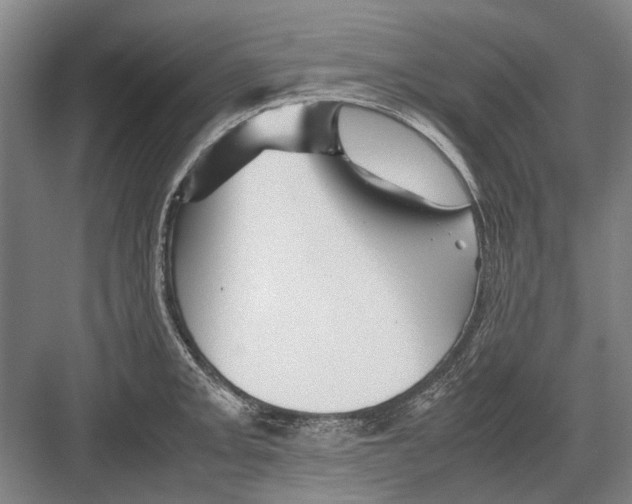 X0000082201093200702170012