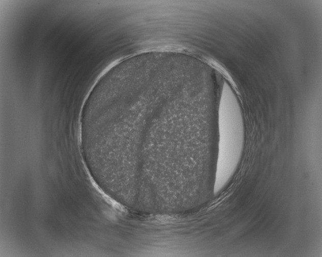 X0000082201095200702170012