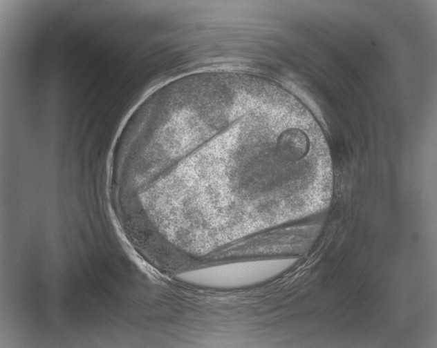 X0000082201099200702170012