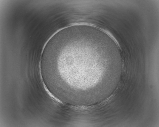 X0000082201100200702170012