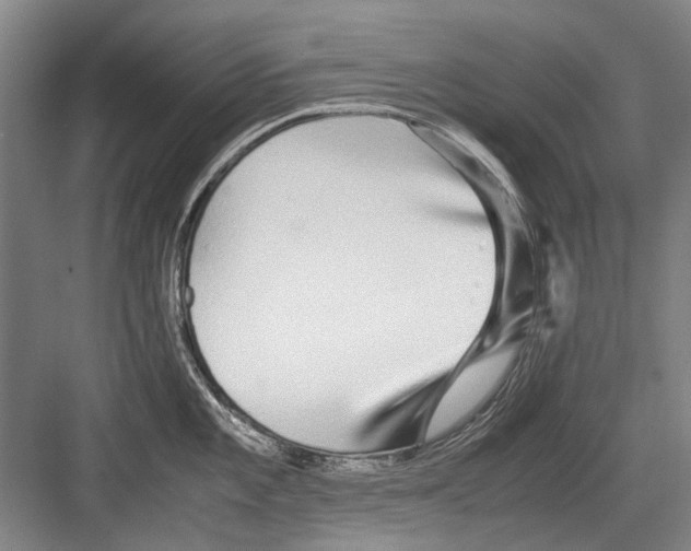 X0000082201101200702170012