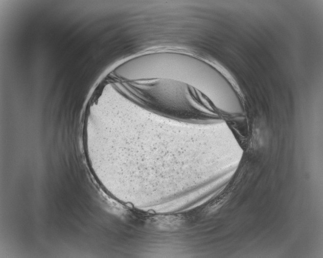 X0000082201102200702170012