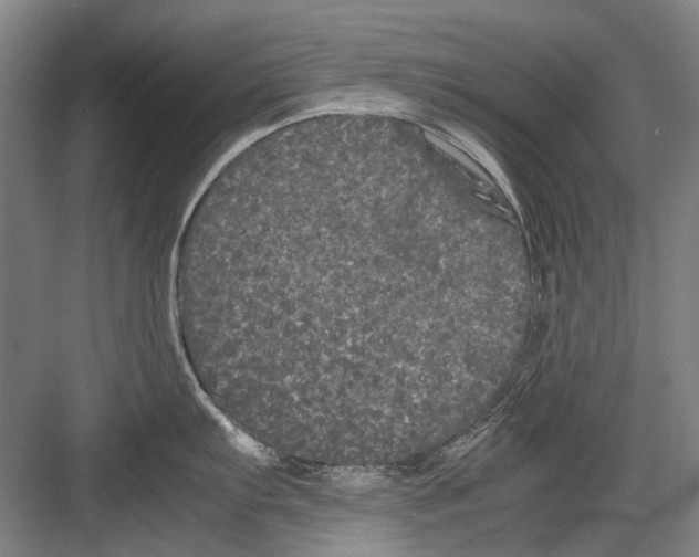 X0000082201103200702170012