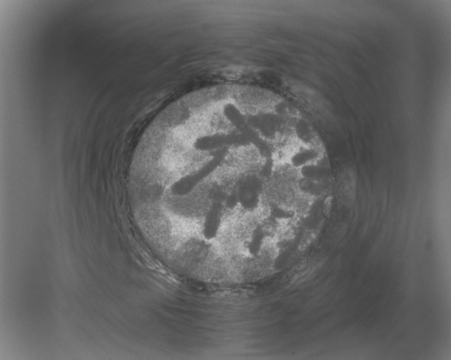 X0000082201105200702170011