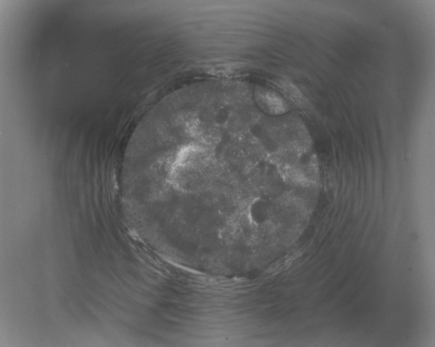 X0000082201106200702170011