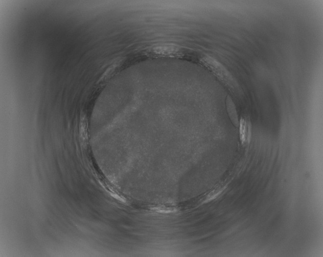 X0000082201107200702170011