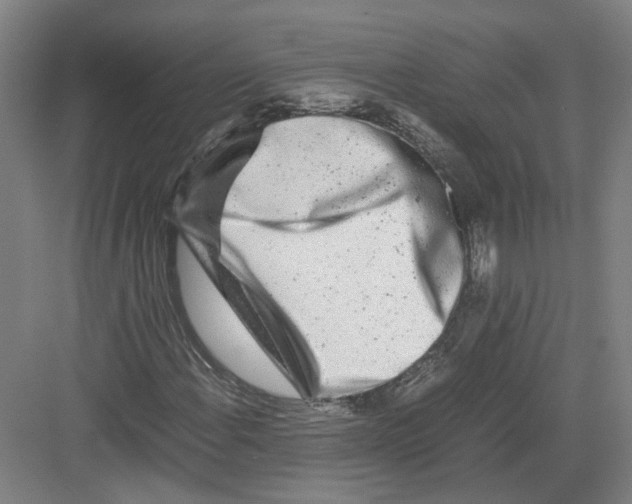 X0000082201108200702170011