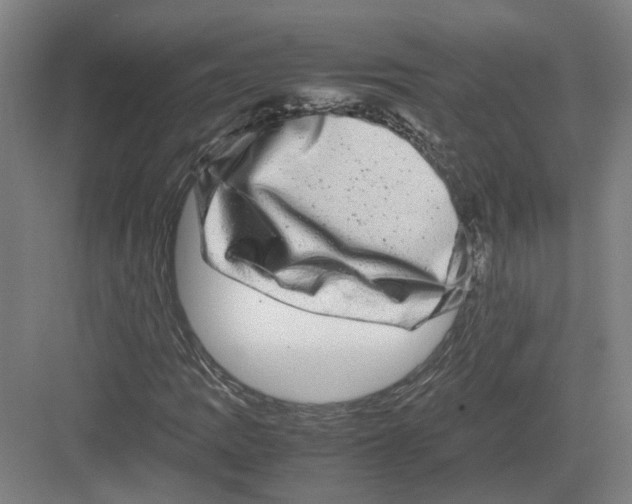 X0000082201109200702170011