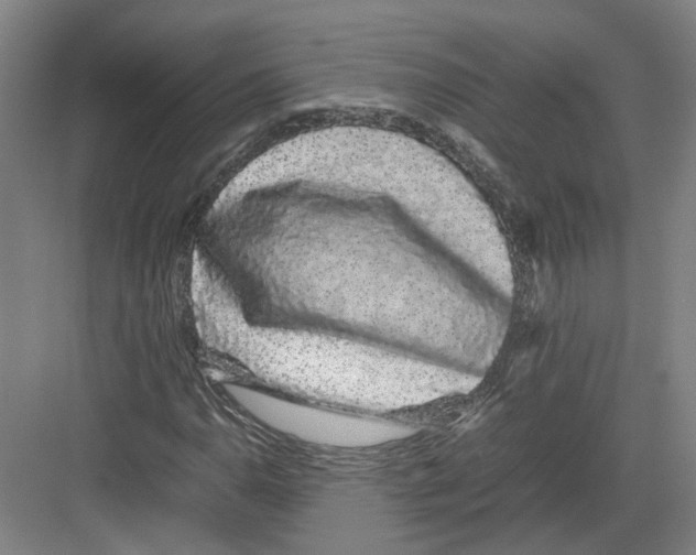 X0000082201110200702170011