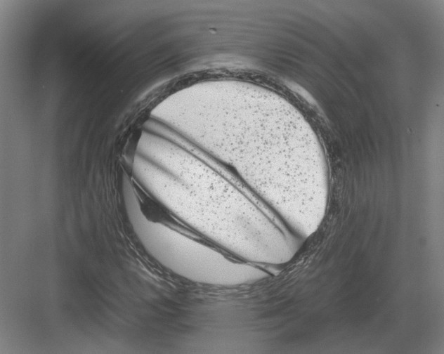 X0000082201112200702170011