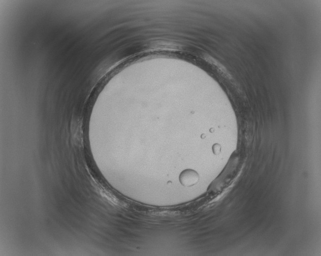 X0000082201113200702170011