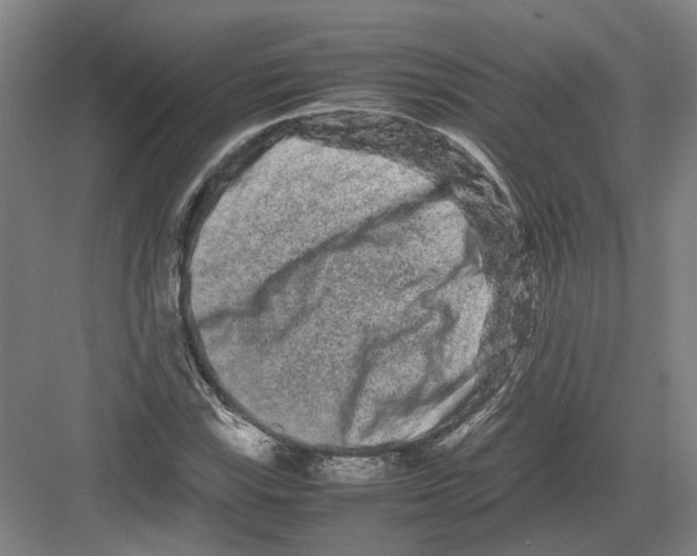 X0000082201115200702170011