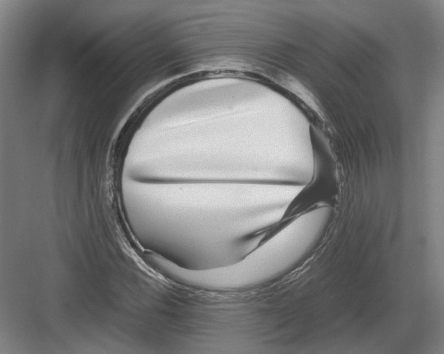 X0000082201116200702170011