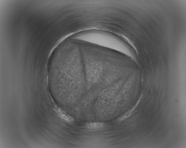 X0000082201117200702170011