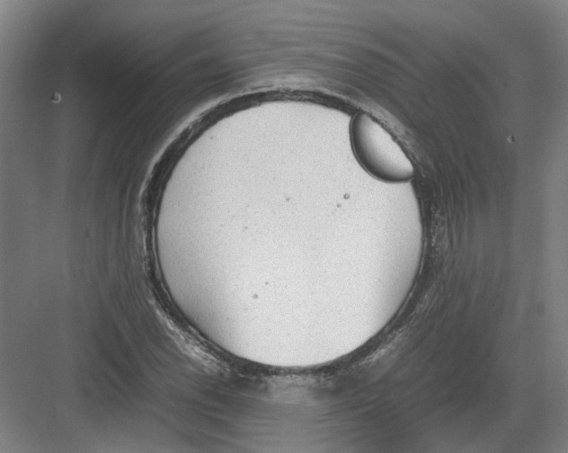 X0000082201118200702170011