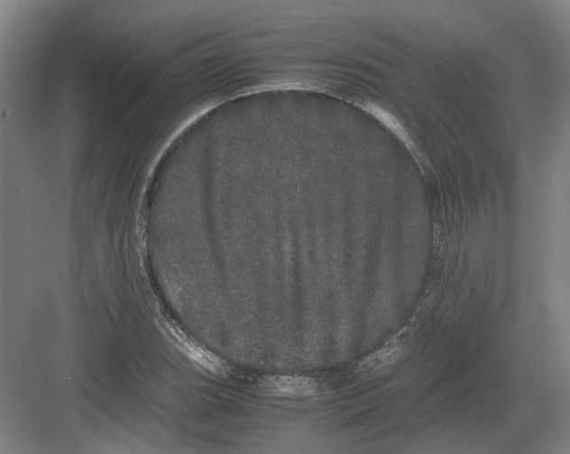 X0000082201119200702170011