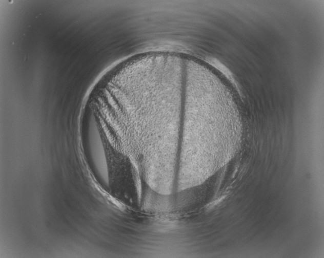 X0000082201120200702170011