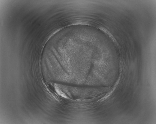 X0000082201121200702170011