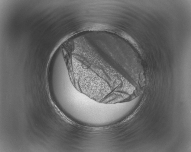 X0000082201122200702170011