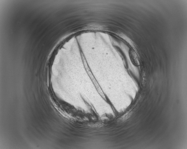 X0000082201123200702170011