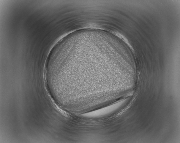 X0000082201125200702170011