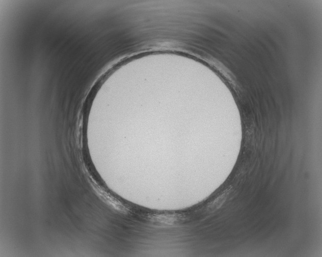 X0000082201126200702170011