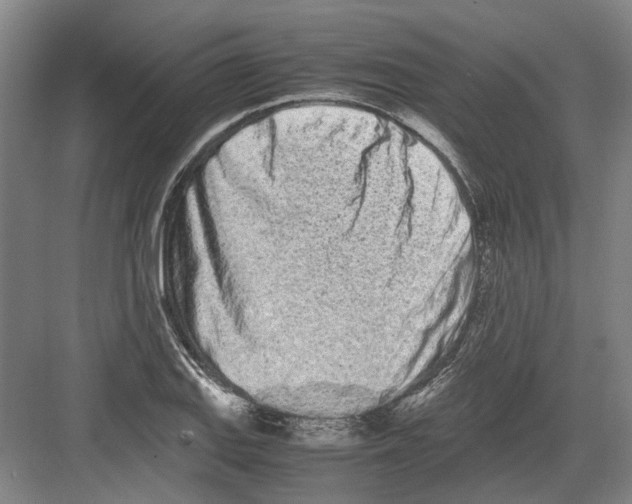 X0000082201127200702170011