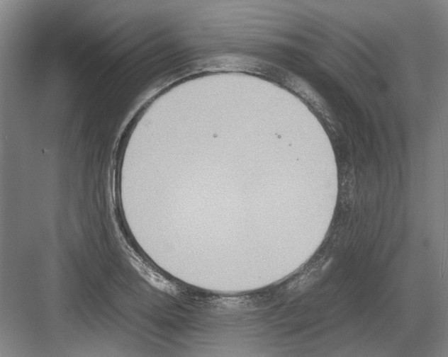 X0000082201130200702170011