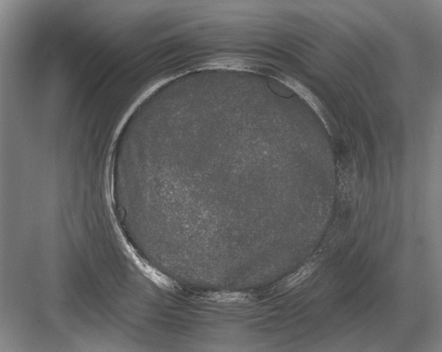 X0000082201131200702170011