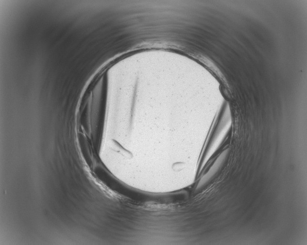 X0000082201132200702170011