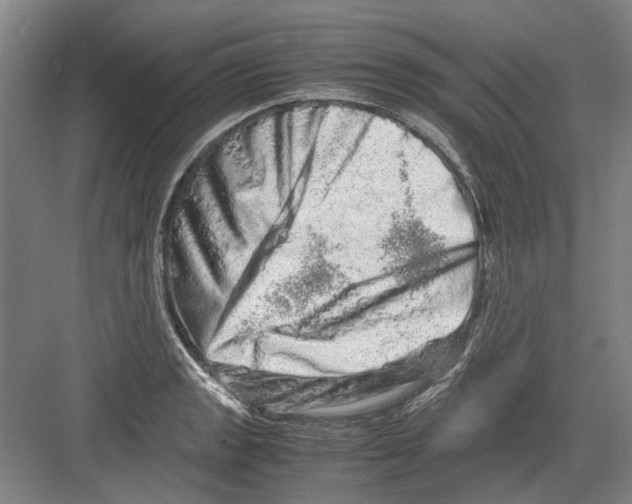 X0000082201133200702170011