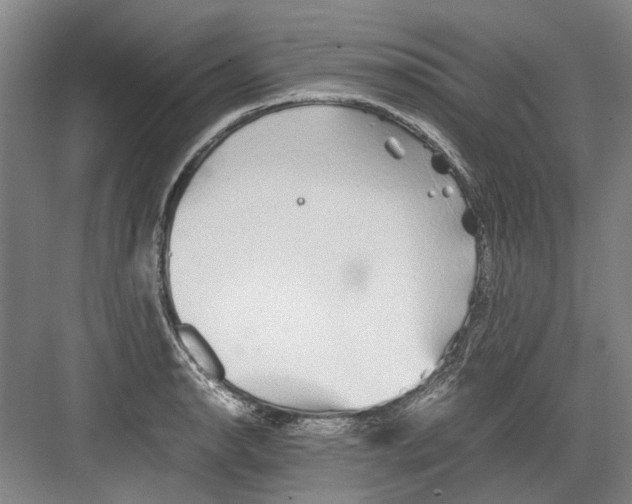 X0000082201134200702170011