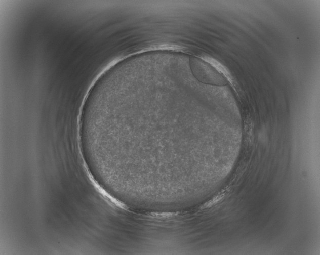 X0000082201135200702170011