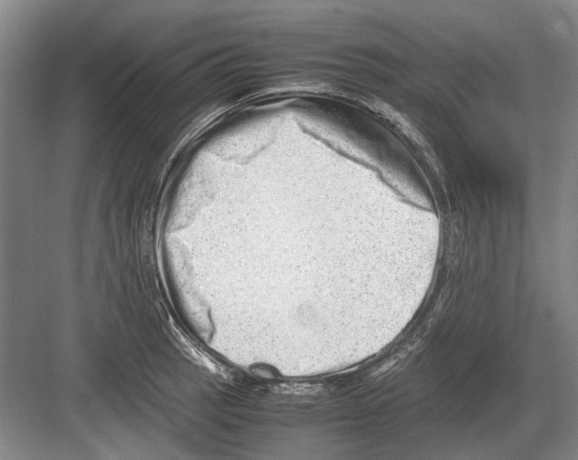 X0000082201137200702170011