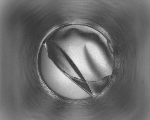 X0000082201138200702170011