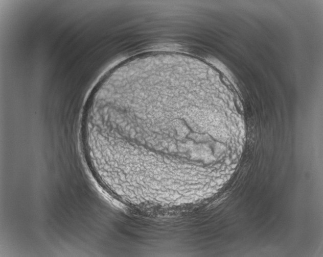 X0000082201139200702170011