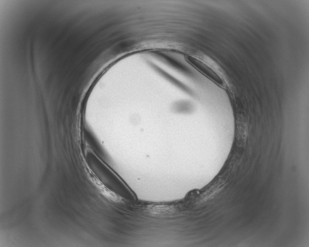 X0000082201140200702170011