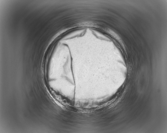 X0000082201141200702170011