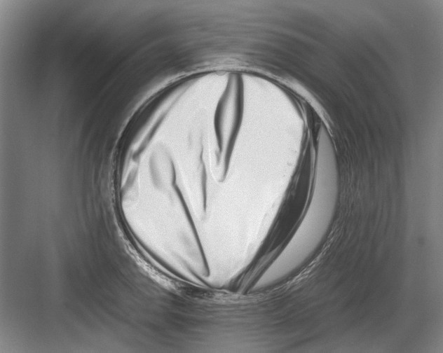 X0000082201142200702170011