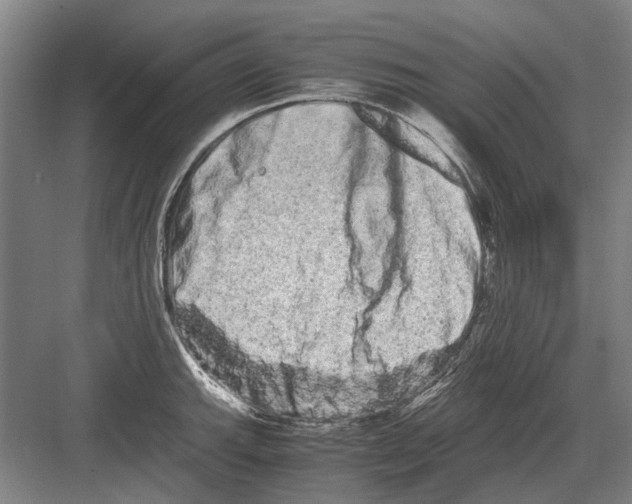 X0000082201143200702170011