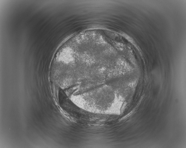 X0000082201145200702170011