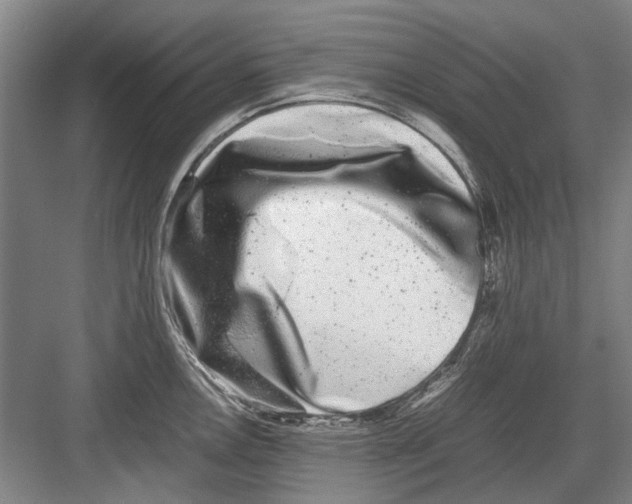 X0000082201146200702170011