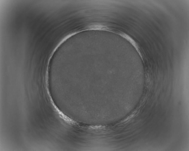 X0000082201147200702170012